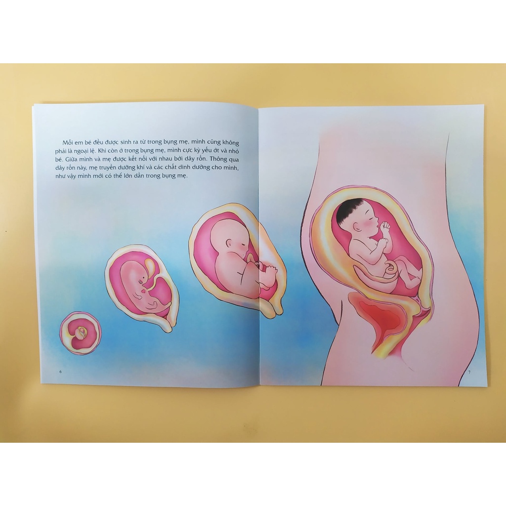 Sách - Combo Giáo Dục Giới Tính Và Nhân Cách Dành Cho Bé Gái (Trọn Bộ 4 Tập)