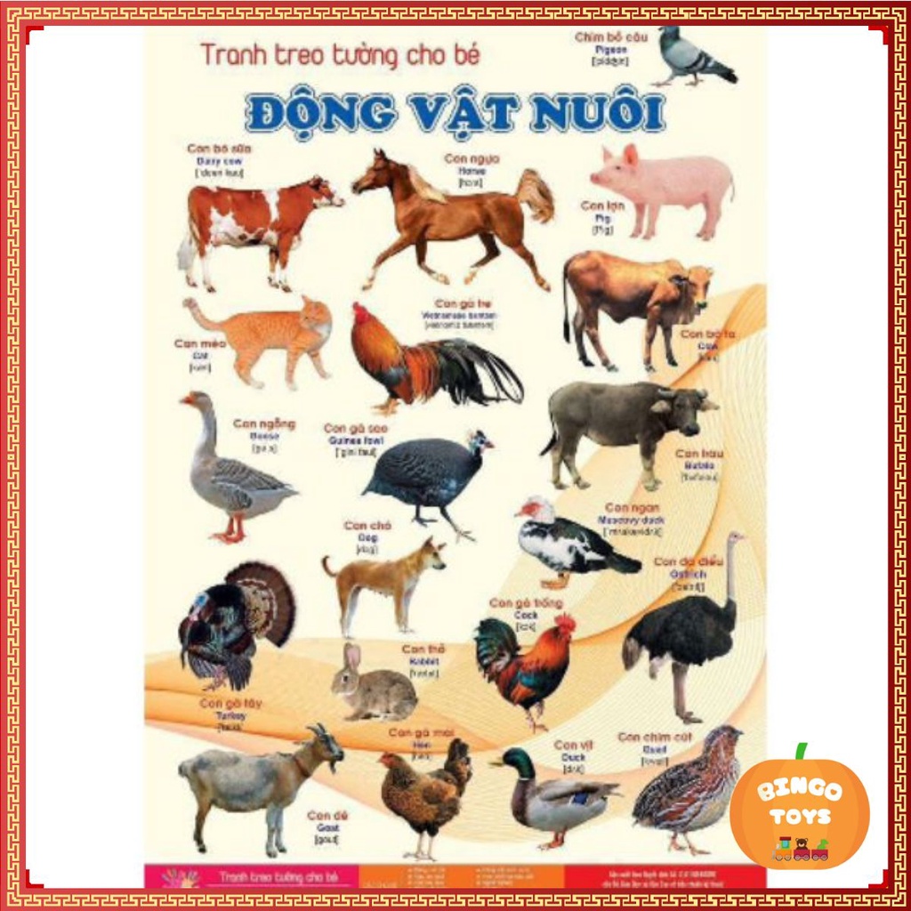 Bộ tranh học 14 chủ đề cho bé
