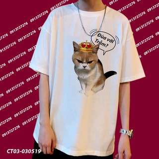 Aó Thun Mèo Bực Bội Mèo Hoàng Thượng Đùa Với Trẫm Hài Hước