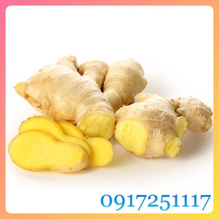 Củ gừng tươi nhà trồng 500g Bình Định