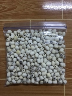 500gr hạt sen khô