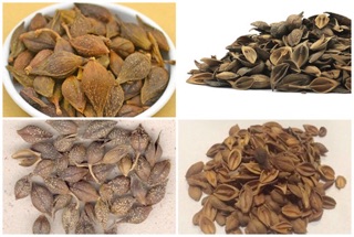 Liên kiều khô đẹp 100g
