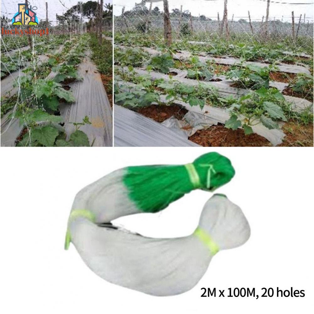 Lưới Trồng Cây Dây Leo Chống Ăn Mòn Chống Lão Hóa Siêu Bền Dễ Lắp Đặt