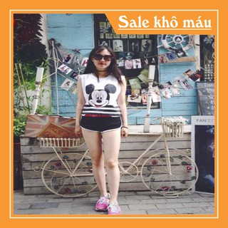 Quần đùi nữ sexy chất cotton viền kẻ