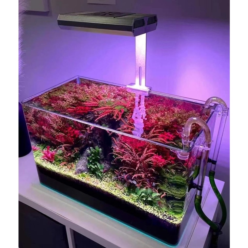 ĐÈN WEEK Z200 PRO chỉnh app phiên bản 2.0 mới nhất 2023