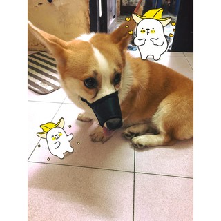 Rọ mõm vải cho thú cưng
