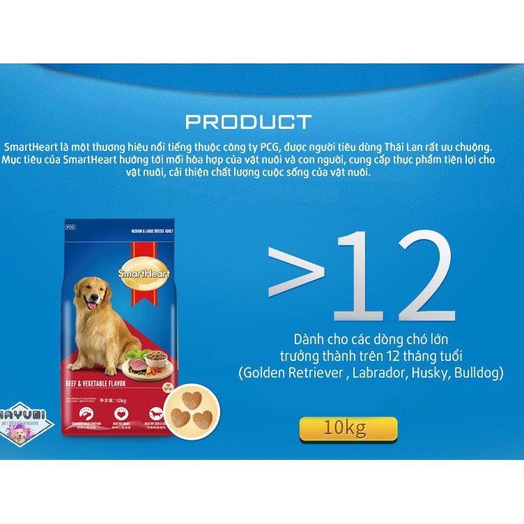 HẠT KHÔ SMARTHEART DÀNH CHO CHÓ TRƯỞNG THÀNH - VỊ BÒ NƯỚNG 400G