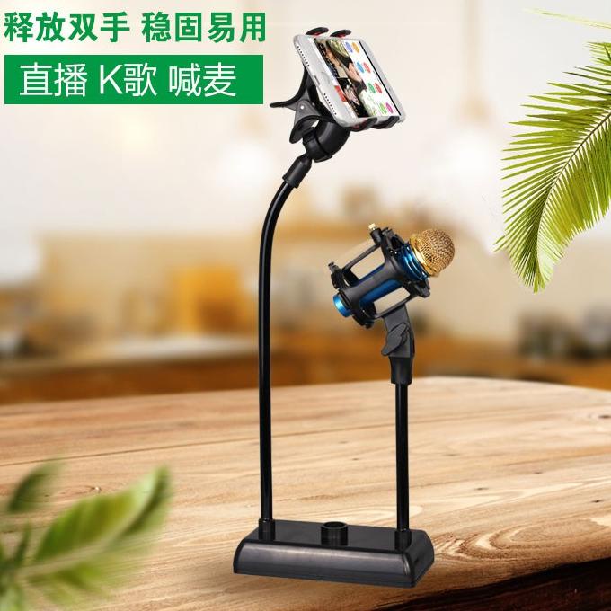Bộ Mic Và Giá Đỡ Điện Thoại BM800