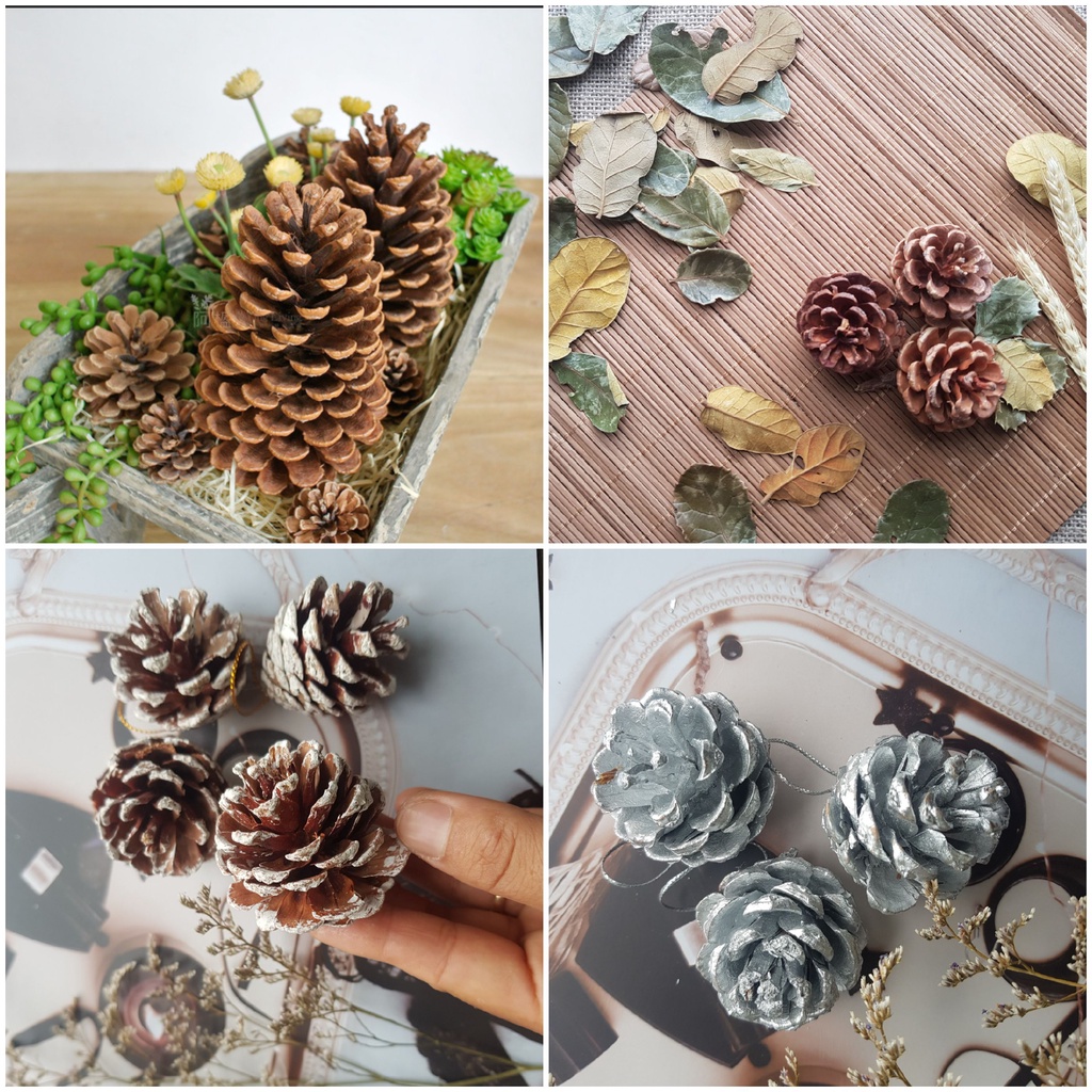 (ĐẸP-ĐỀU LÁ RẤT THƠM) Trái thông khô, lá cây, bó rơm khô phụ kiện trang trí chụp ảnh. Qủa thông tự nhiên