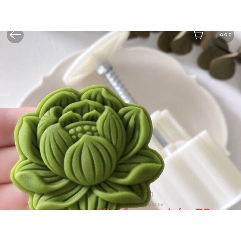 Sen bầu lò xo 75g -150g -200g