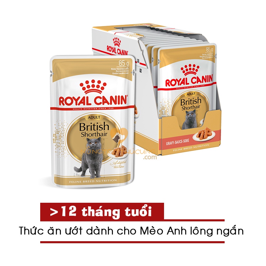 Pate cho mèo Anh Lông Ngắn ROYAL CANIN BRITISH SHORTHAIR WET 85gr