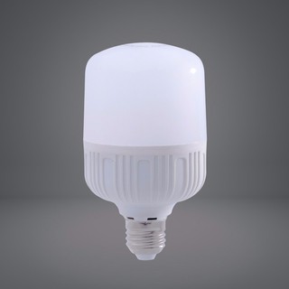 combo 2 bóng đèn led trụ 20W
