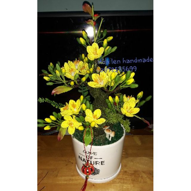 Set móc 21-25 hoa mai/đào