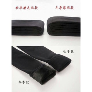 quần mèo lot lông ( túi mèo)