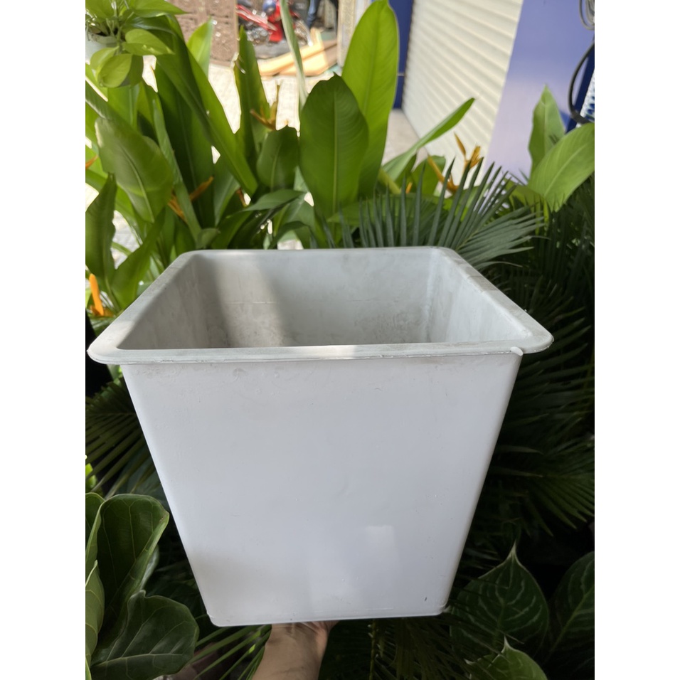Chậu nhựa vuông nhám, cứng, bền với thời gian, size trung