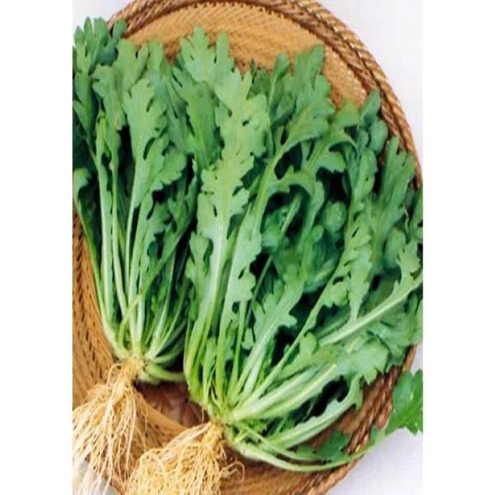 Hạt giống tần ô Nhật JIRO 903 RD gói 10gr