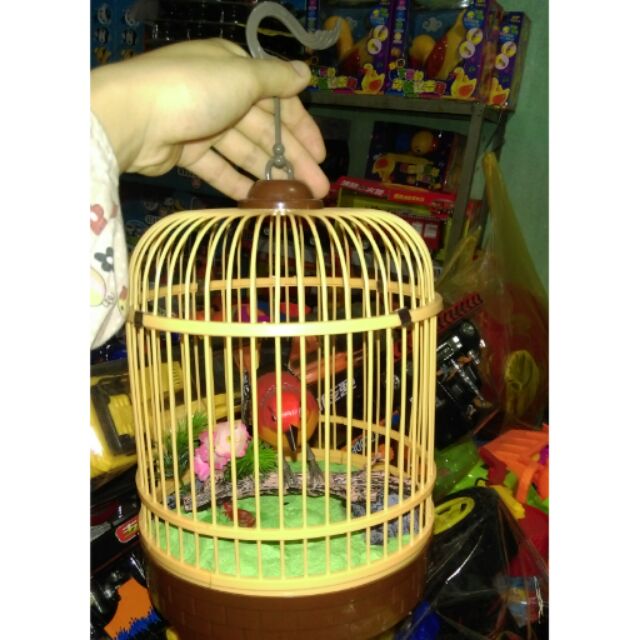 Lồng chim....