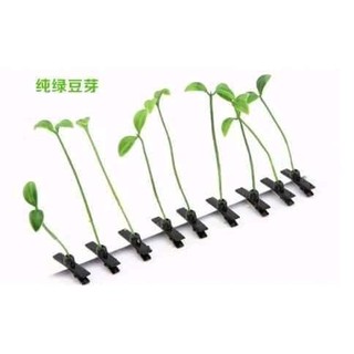 Kẹp tóc mầm cây