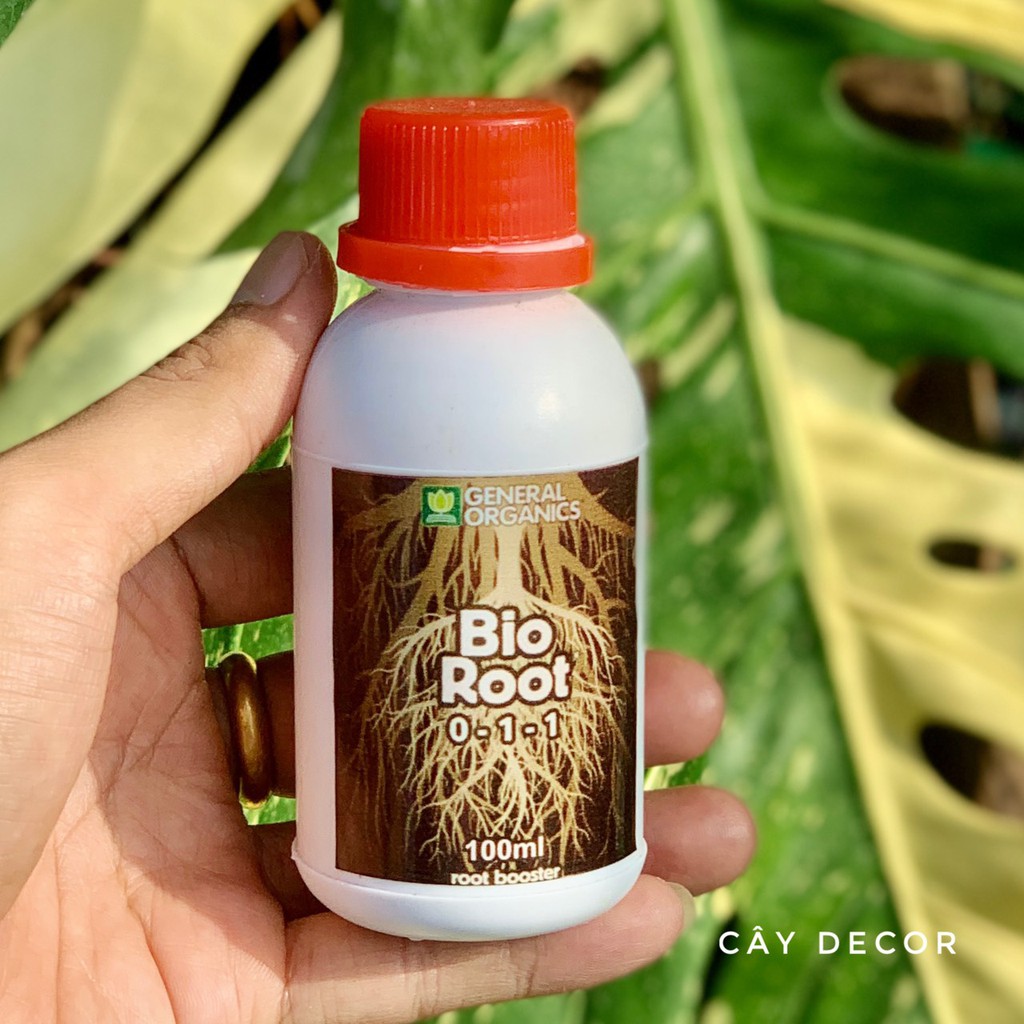 Kích rễ BIO ROOT 0-1-1 từ Mỹ rất tốt cho Kiểng lá, Lan, chai 100ml