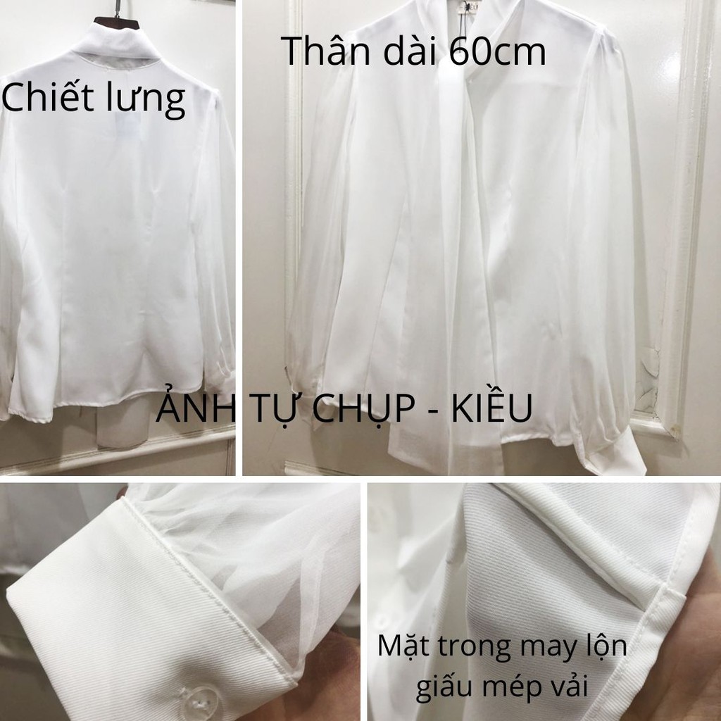 Áo sơ mi trắng thắt nơ♥️ vải đẹp♥️ áo công sở nữ dài tay phom ôm vải voan | BigBuy360 - bigbuy360.vn