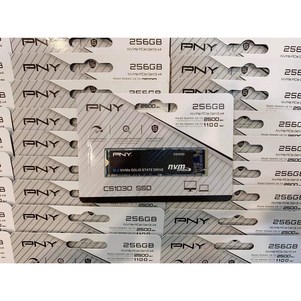 SSD 256GB PNY CS1030 M.2 2280 NVMe Gen3x4 - Hàng Chính Hãng