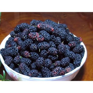 Kẹo dâu tằm 200gr