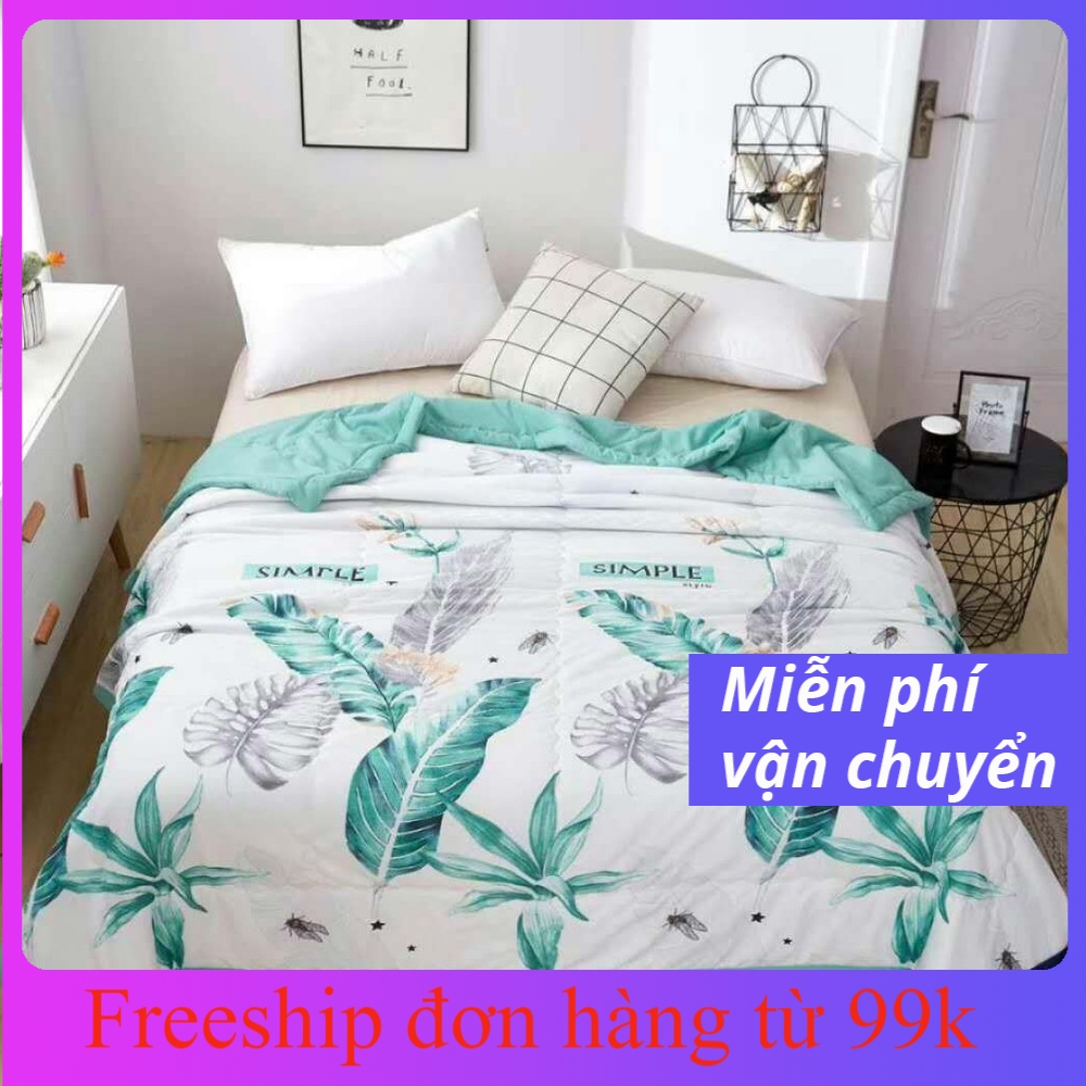 Chăn hè trần bông cotton đũi mẫu mới (Lá Chuối Xanh)