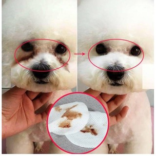 Lau nước mắt cho chó mèo - ptpetlove