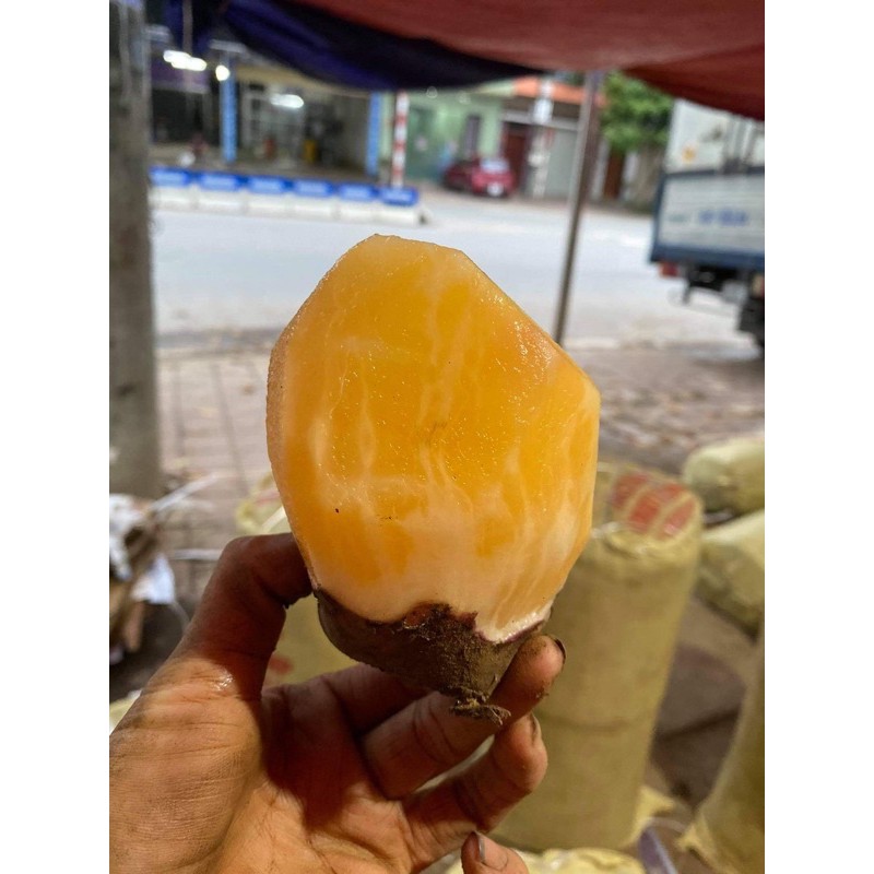 Combo 6kg Sâm đất Y Tý
