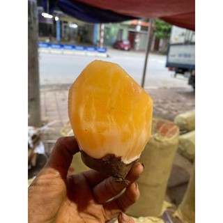 Combo 6kg Sâm đất Y Tý