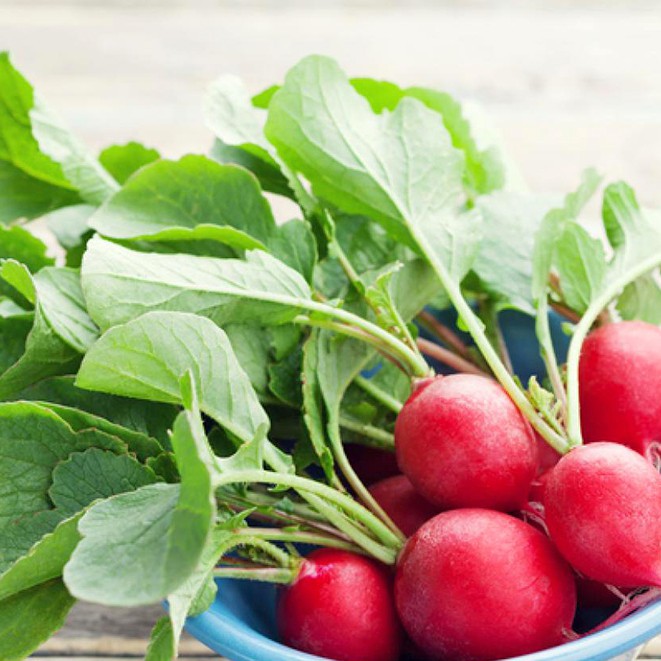 HẠT GIỐNG CỦ CẢI ĐỎ - CỦ TRÒN