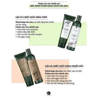 Cặp dầu gội Weilaiya Hair Strength - Ginger Gừng nâu và trắng