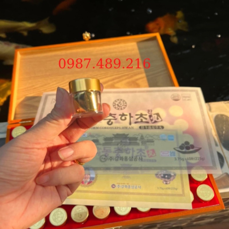 Đông Trùng Hạ Thảo 60 Viên Hộp Gỗ Vàng Hàn Quốc