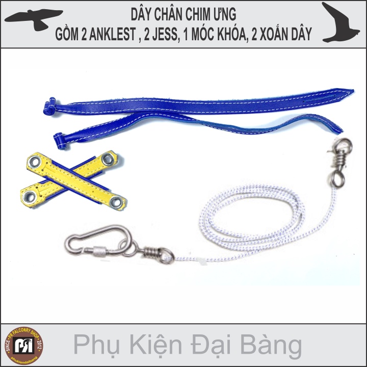 DÂY DA ƯNG ẤN