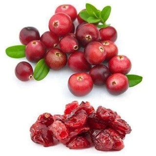 [SIÊU RẺ] Nam Việt Quất Sấy Không Đường 250gram đóng gói tại Việt Nam