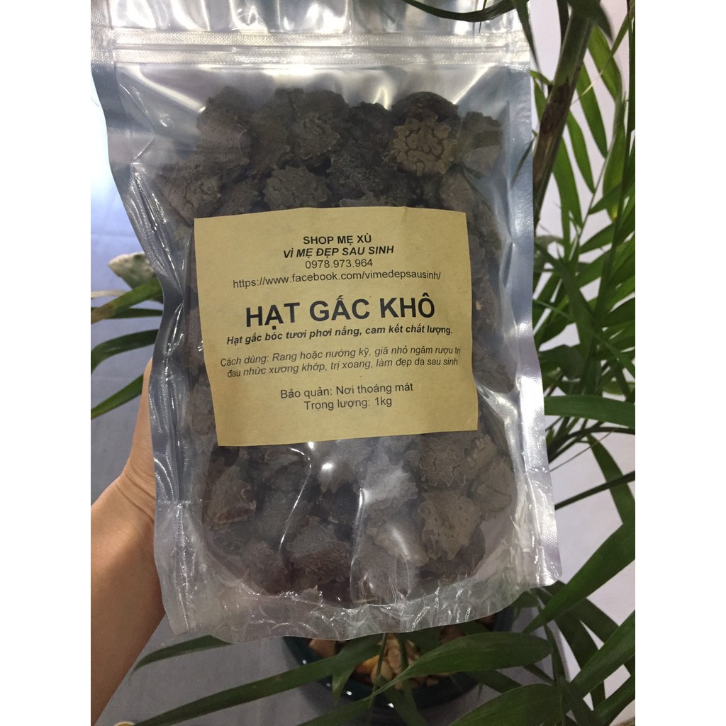 Hạt gấc khô
