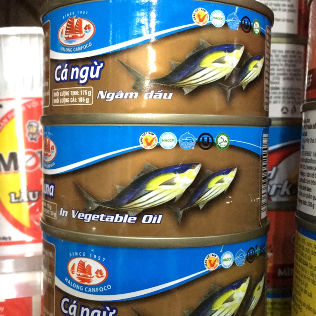 Cá ngừ ngâm dầu đóng hộp 175g