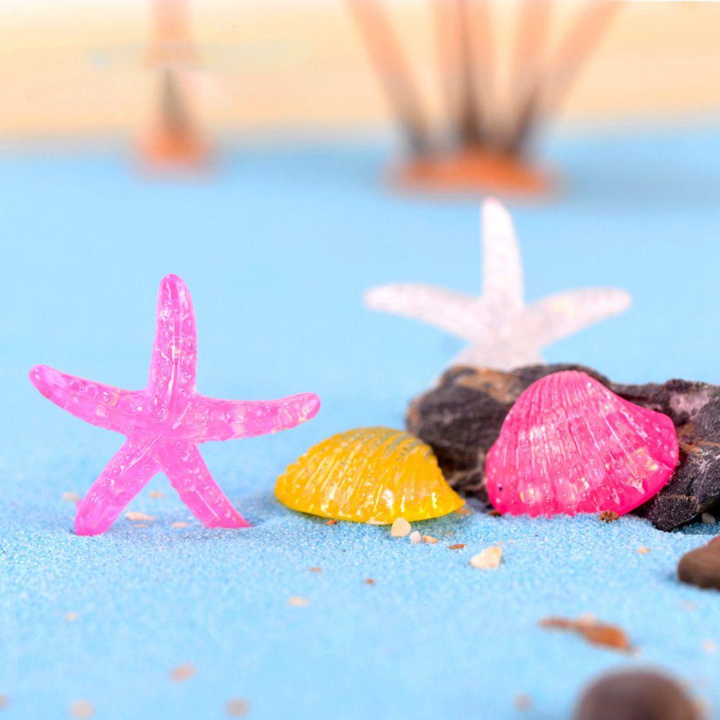 Đồ trang trí Ngôi Sao Biển Mini Trang Trí Tiểu Cảnh