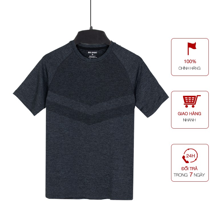 Áo Thun Nam Thể Thao Tập Gym Cao Cấp Vải Poly Co Giãn 4 Chiều Thoáng Mát Áo Thun Gym Nam Chạy Bộ - Big Sport | BigBuy360 - bigbuy360.vn