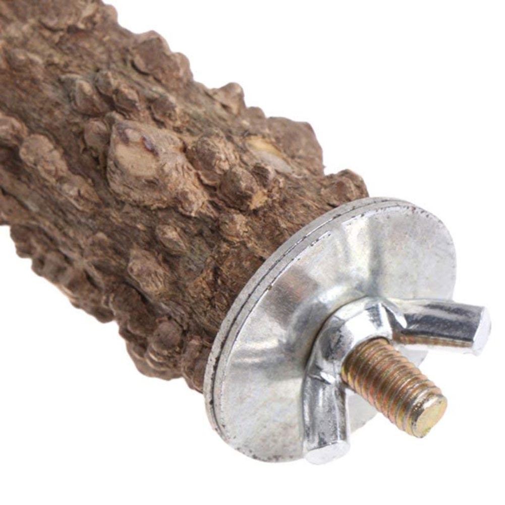 Thanh Đứng Cho Chim Vẹt Gắn Lồng Tiện Dụng Và Bền