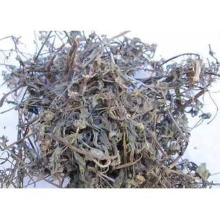 Cây nhọ nồi