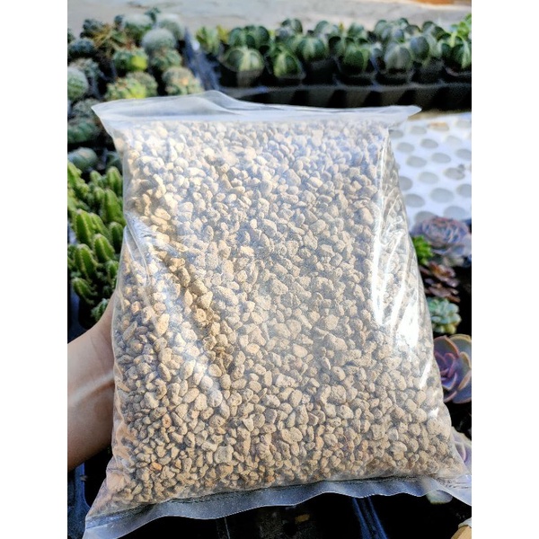 500g Đá Bọt Núi Lửa Pumice Indo Premium - Giá Thể Trồng Sen Đá, Xương Rồng, Kiểng Lá