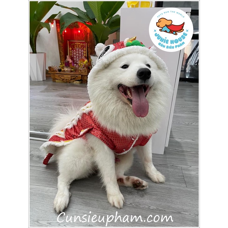 Áo con lân lấp lánh đồ Tết múa lân cho chó mèo