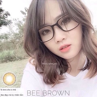 Lens vassen Bee brown