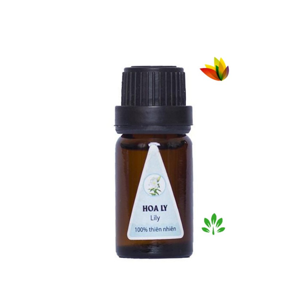 [X118] 3 lọ 10ml Tinh dầu thơm trầm hương, vani, cà phê …20 mùi tùy chọn khử mùi xe ô tô TATIZA13