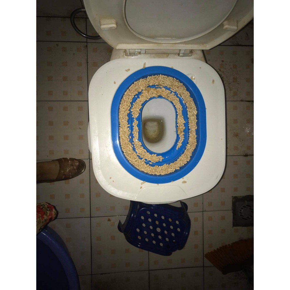 Bộ huấn luyện mèo đi vệ sinh trong bồn toilet nhập khẩu