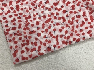Set vải 220k.