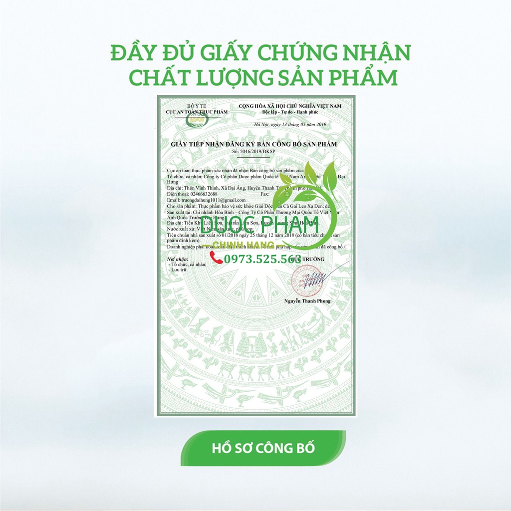 Viên uống Cà gai leo xạ đen giải độc gan, bổ gan, hạ men gan, tăng cường chức năng gan, bảo vệ gan