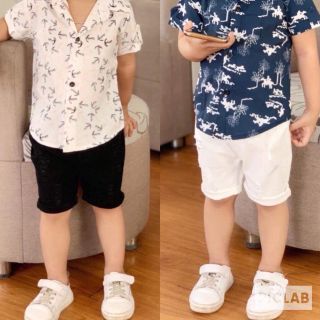 Quần kaki bé trai