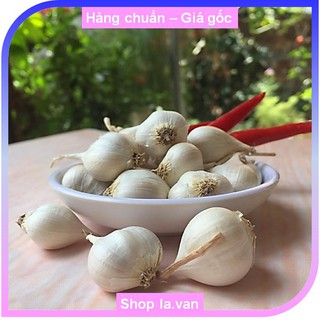Tỏi Lý Sơn 3-4 tép 01kg (chính gốc)